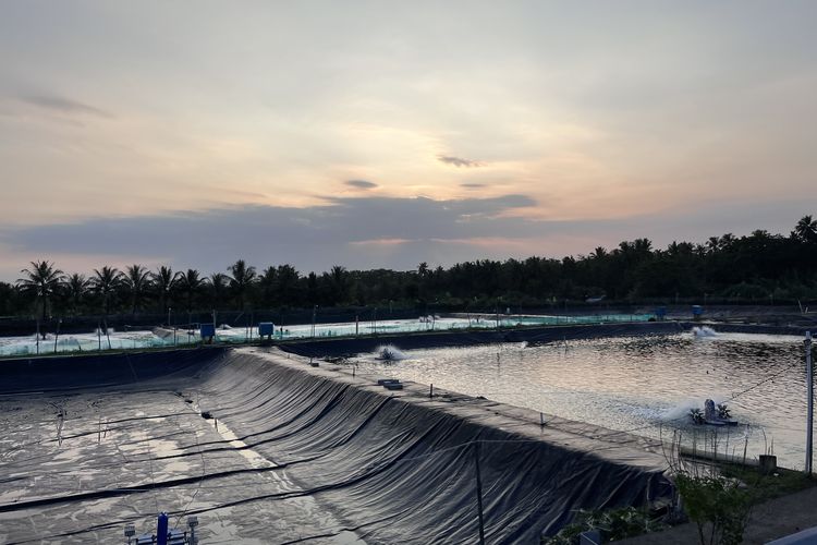 Usai Tongkang Karam, Petambak di Pesisir Pangandaran Belum Berani Ambil Air Laut