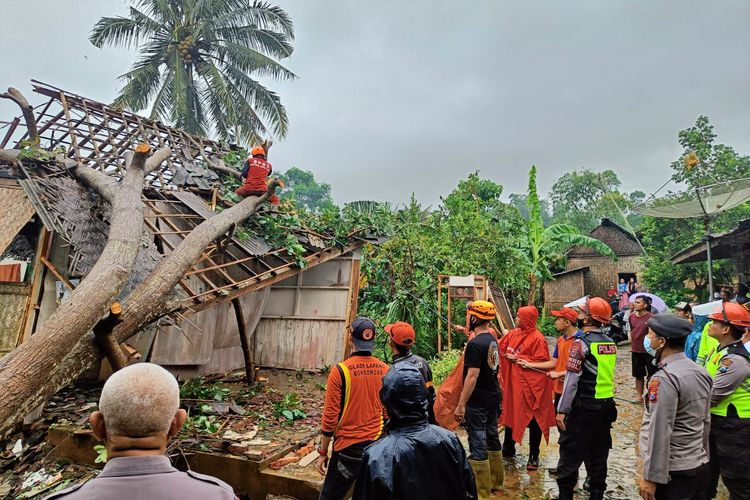 Pohon tumbang menimpa rumah warga Bondowoso saat hujan deras disertai angin pada Selasa (8/3/2022)