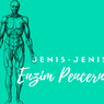 Jenis-Jenis Enzim Pencernaan