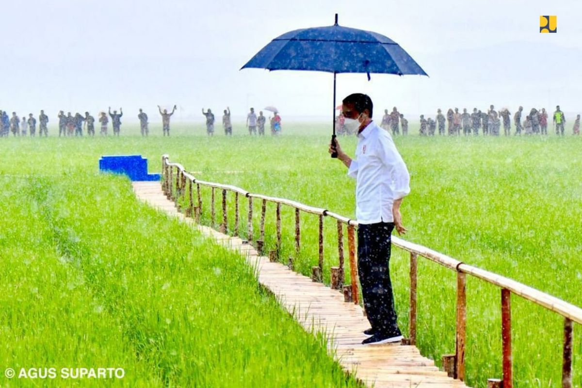 Presiden Joko Widodo (Jokowi) meminta Kementerian Pekerjaan Umum dan Perumahan Rakyat (PUPR) membangun waduk dan bendungan untuk mendukung food estate di Kabupaten Sumba Tengah.
