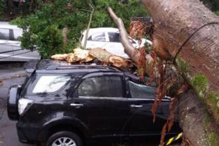 Akibat hujan deras disertai angin kencang yang mengguyur Bandung, Rabu (7/10/2015), mengakibatkan sejumlah pohon tumbang dan menimpa beberapa unit mobil seperti yang terjadi di kampus ITB ini.