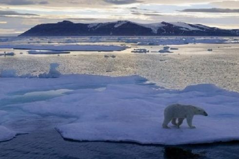 Peneliti Temukan Ratusan Ton Sampah Plastik di Lautan Arktik