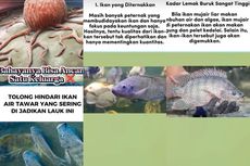 Ikan Mujair Disebut Perlu Dihindari karena Bahayanya Ancam Satu Keluarga, Benarkah?