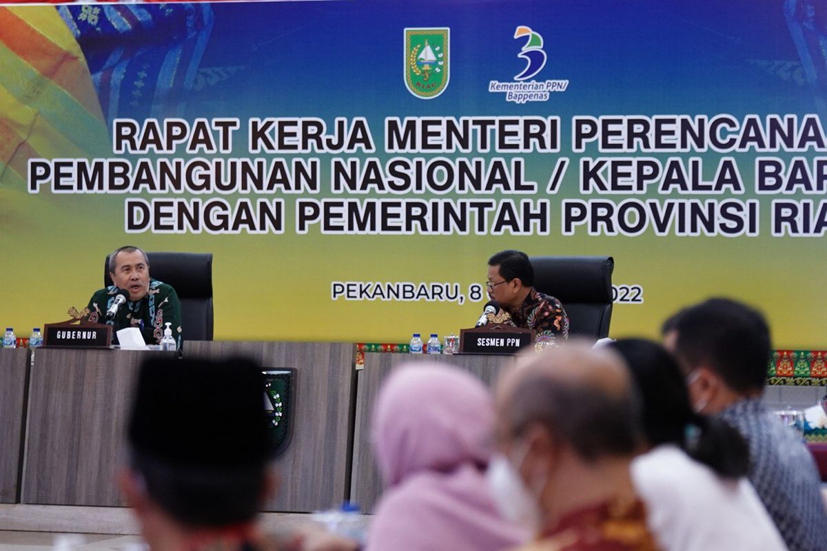 Berdasarkan data Badan Pusat Statistik (BPS), Riau tercatat sebagai provinsi dengan nilai produk domestik regional bruto (PDRB) terbesar kelima di Indonesia atau terbesar pertama di luar Pulau Jawa.