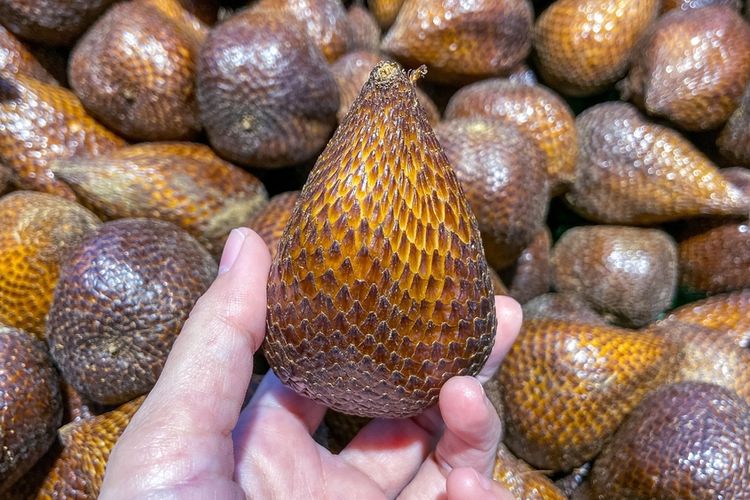 Ilustrasi buah salak
