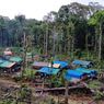 Potret Ketimpangan Pembangunan di Papua, Beras 10 Kg Seharga Rp 2 Juta