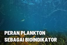 Peran Plankton Sebagai Parameter Kualitas Air 
