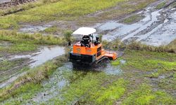 Bagaimana Teknologi Menarik Petani Muda dan Mendorong Swasembada Pangan?