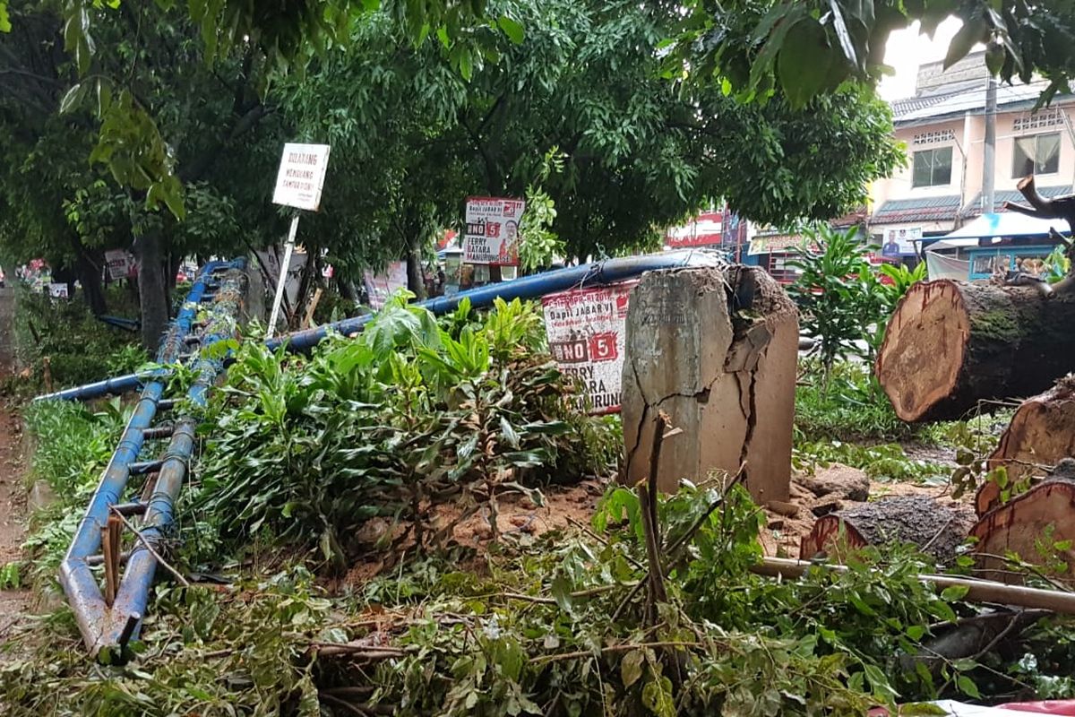 Pohon tumbang di Jalan Proklamasi, Sukamajaya, Depok, Senin (2/4/2019).