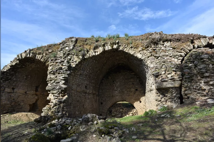 Arena gladiator zaman Romawi yang ditemukan di Turki, setelah dibersihkan dari pohon dan tanaman liar.

