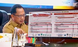 Susun Kebijakan Tepat Sasaran, Mendagri Ajak Pemda Maksimalkan DTSEN Versi 3
