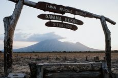 5 Spot Foto di Taman Nasional Baluran, Ada Pohon Raisa dan Tengkorak