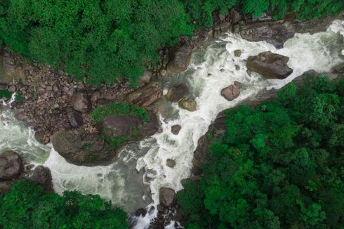 3 Tips Sederhana Cegah Kram Saat Berenang di Sungai