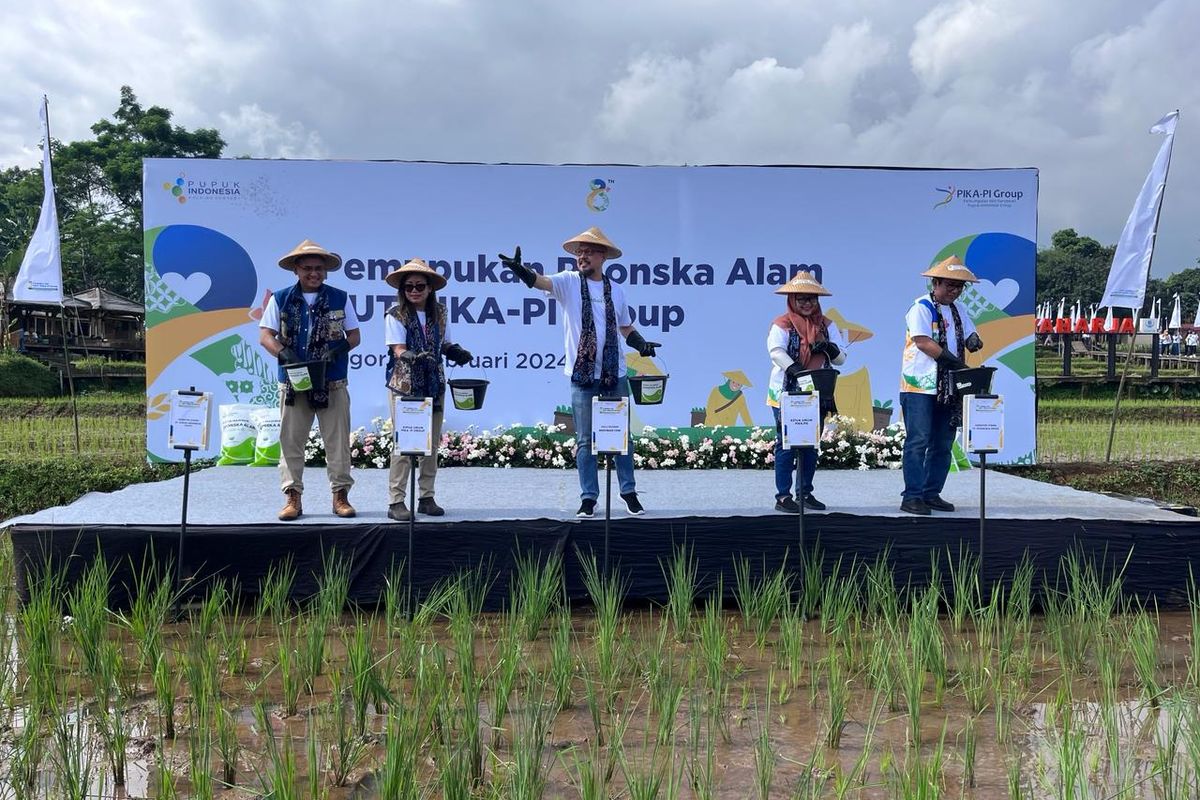 Penaburan pupuk NPK Phonska Alam oleh PT Pupuk Indonesia di Kampung Agro Edu Wisata Organik Mulyaharja, Bogor, Sabtu (3/2/2024)