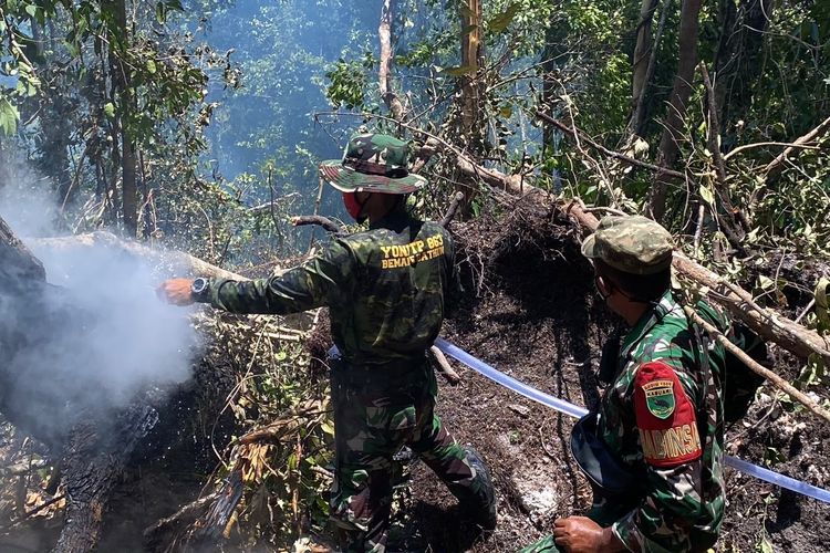 Medan Sulit Jadi Tantangan Pemadaman Kebakaran Hutan di Saporkren Raja Ampat