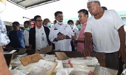 Mentan Nyatakan Stok Beras pada Masa Penanganan Covid-19 Aman