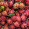 5 Cara Menyimpan Rambutan agar Tetap Segar dan Tahan Lama