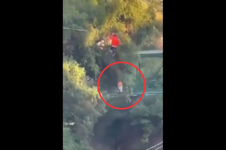 Bocah 6 Tahun Jatuh dari Ketinggian 12 Meter Saat Bermain Zip Line