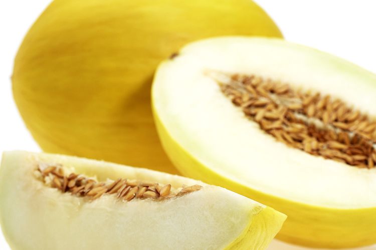 Ilustrasi timun suri. 