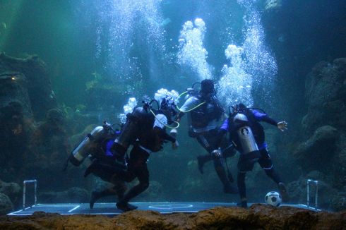 Harga Tiket Fun Diving di Sea World Ancol