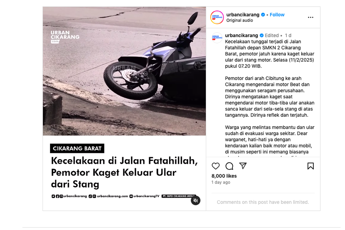 Pemotor jatuh karena ada ular keluar dari setang motor.