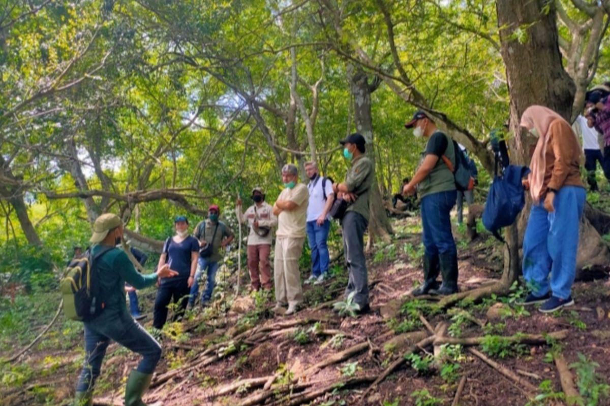 Foto : Tim UNESCO dan IUCN meninjau langsung, Taman Nasional Komodo, Kabupaten Manggarai Barat, NTT, pada Jumat (4/3/2022).