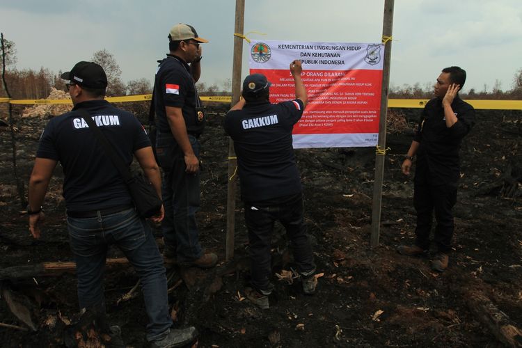 Kementerian Lingkungan Hidup dan Kehutanan (KLHK) menyegel PT DGS di Kabupaten Ogan Komerinf Ilir (OKI) Sumatera Selatan karena diduga melakukan kelalaian hingga menyebabkan lahan gambut seluas 750 hektar di wilayah konsesi menjadi terbakar, Kamis (3/10/2019).