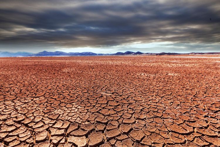 Ilustrasi kekeringan. Puncak musim kemarau 2025.