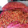 Harga Cabai Rawit Hari Ini di Jatim