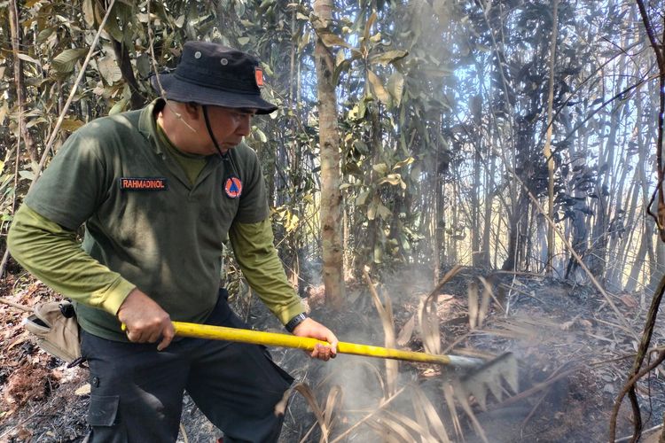 Kebakaran Hutan di Harau Sumbar Meluas Capai 5 Hektar, Lahan Gambut Terbakar
