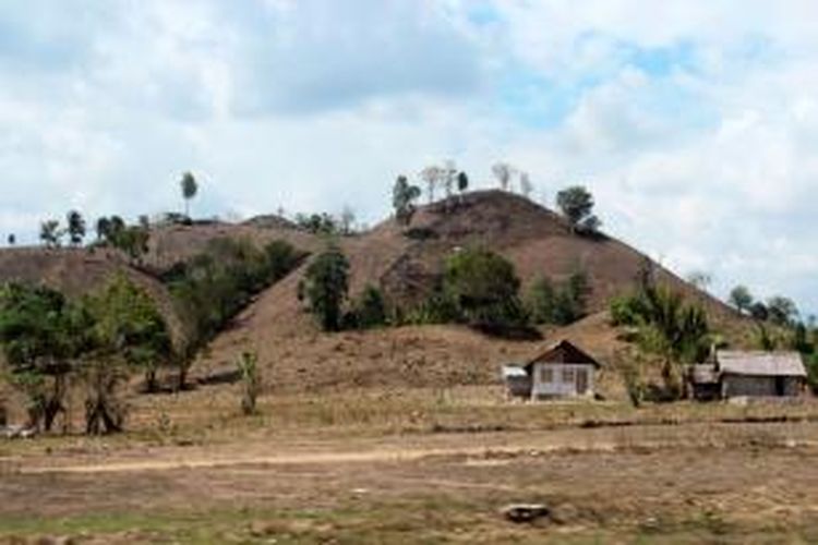 Kawasan perbukitan gundul banyak terlihat di Kabupaten Boleamo, Provinsi Gorontalo. Gundulnya lahan ini diakibatkan masifnya penanaman jagung di masa lalu.