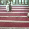 Perempuan Diduga OGDJ Bawa Sajam ke Masjid di Pesanggrahan, Ini Penjelasan Ketua RW