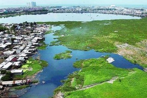 Permukiman di Waduk Pluit akibat Minimnya Kontrol Pemerintah