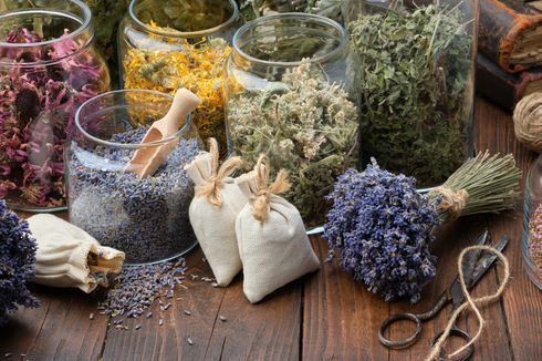 7 Cara Mengeringkan Tanaman Herbal dan Menyimpannya agar Tahan Lama