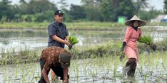 Irpom Disebut Berhasil Cegah Gagal Tanam Saat Kemarau