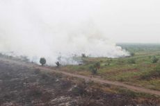 Pemerintah Diminta Tegas Tertibkan Perusahaan Pembakar Lahan