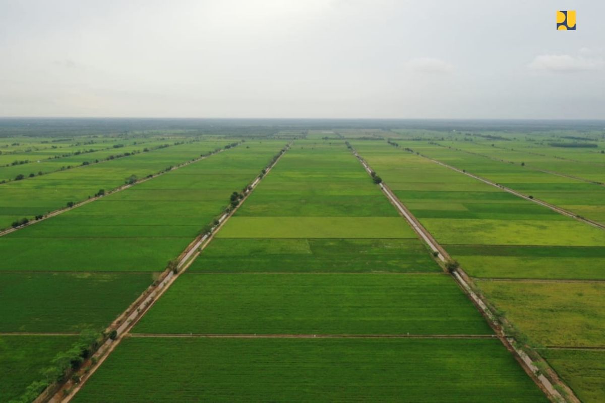 Lahan food estate