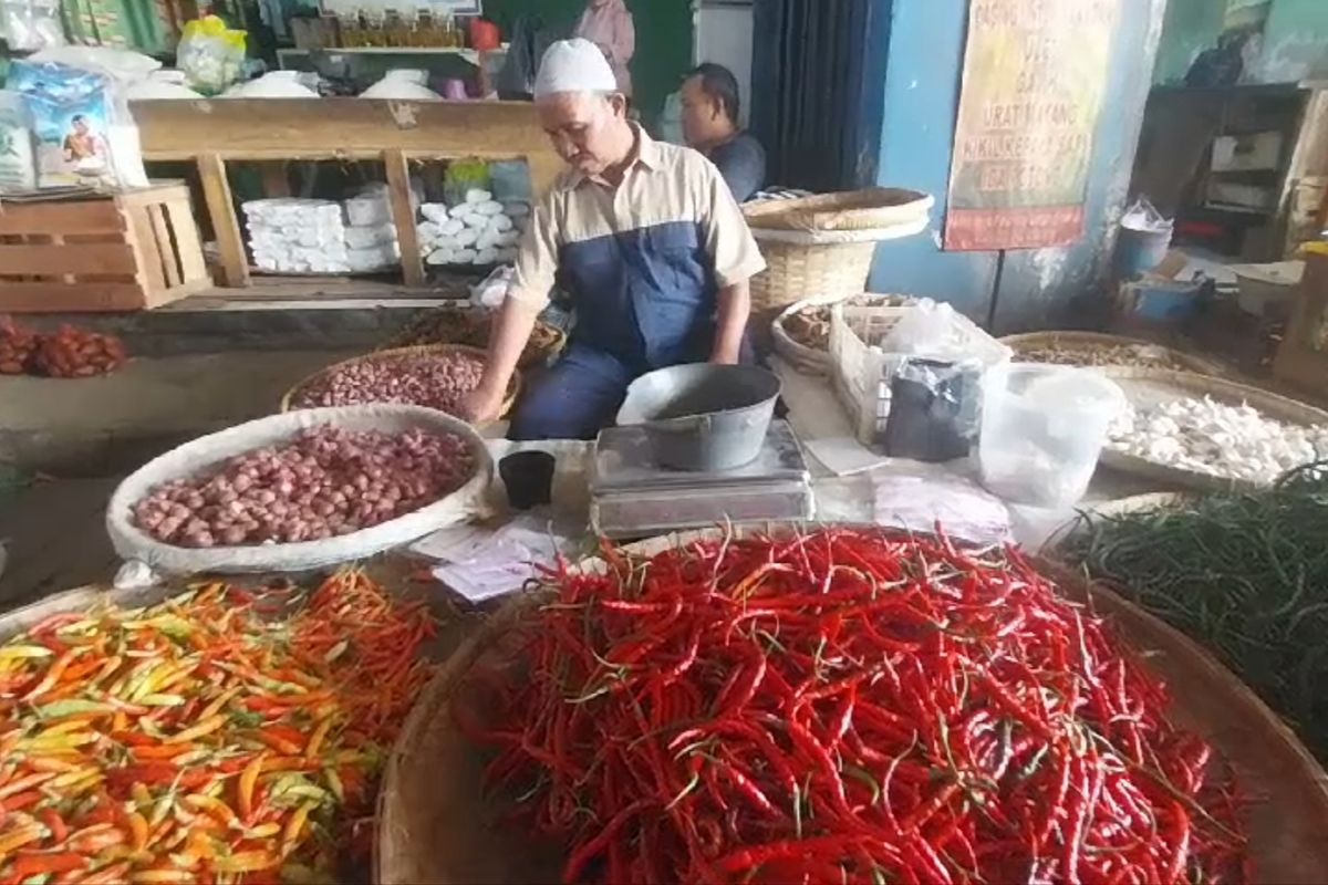 Harga Meroket, Cabai Rusak Diburu Warga di Banyumas, Dianggap Lebih Murah