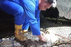 Panitera PN Jakut Menangis Baca Pledoi, Singgung 4 Anak Masih Kecil dan Minta Vonis Ringan