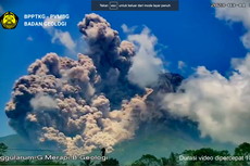 Abu Gunung Merapi Sampai ke Wonosobo, Awan Panas Meluncur Sejauh 4 Km