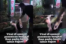 Viral, Video Ikan Dipotong Malah Memercikkan Api, Ini Kata Peneliti BRIN