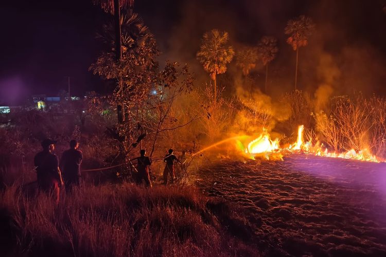 Kebakaran Sabana Labuan Bajo Meluas, Petugas Fokus Padamkan Api Dekat Hotel