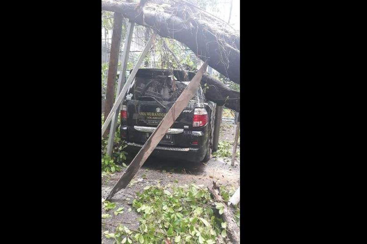 Sebuah pohon di Jalan Limau, Kramat Pela, Kebayoran Baru, Jakarta Selatan menimpa mobil milik SMA Muhammadiyah, Rabu (12/12/2018)