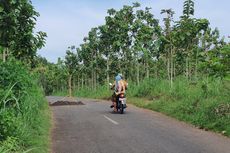 Aksi Warga Gunungkidul Saat Jalannya Rusak, Mulai dari Tanam Pohon Pisang sampai Iuran untuk Perbaikan Mandiri