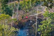 Diduga Sengaja Dibakar Demi Sawit, 1.600 Hektar Hutan dan Lahan IKN Hangus