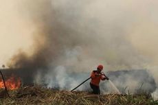 Perahu Hilang di Tengah Kabut Asap Kebakaran Hutan