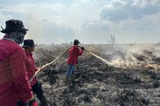 Restorasi Gambut Perlu Dilanjutkan untuk Cegah Karhutla di Lahan Gambut