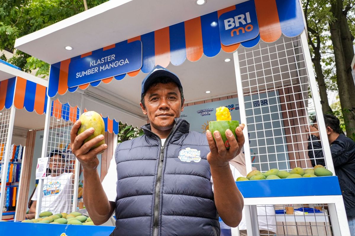 Modal awal dan pendampingan BRI telah membantu Abu Sufyan, petani mangga dari Bondowoso, Jatim, dalam meningkatkan produktivitas dan kualitas hasil panen.