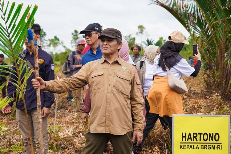 Penanaman bibit sagu oleh Kepala BRGM Hartono