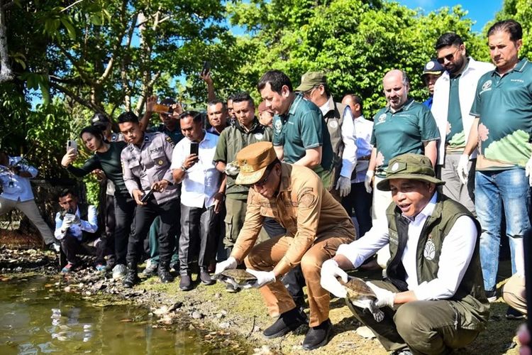 Menhut Raja Juli Antoni (berjongkok, kanan) memimpin pelepasliaran satwa endemik 20 ekor kura-kura leher ular Rote (Chelodina mccordi) di habitat aslinya Danau Ledulu, Kabupaten Rote Ndao, NTT, Selasa (21/10/2025).